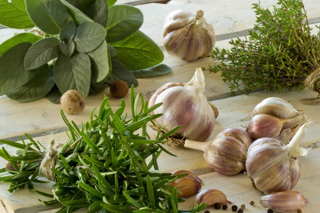 Skuteczne sposoby, jak usunąć zapachy z kuchni raz na zawsze